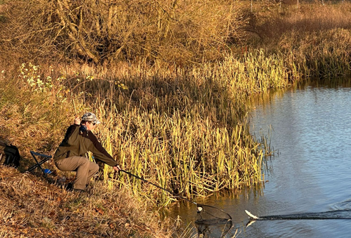 Snímek obrazovky 2025-11-10 094408.png